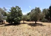 Chalet independiente con terreno en venta en El Puerto de Santa María ref: TR417492 foto