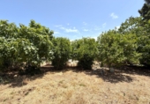Chalet independiente con terreno en venta en El Puerto de Santa María ref: TR417492 foto