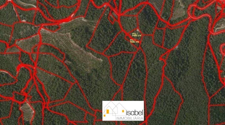 Tarragona - Pradell de la Teixeta - 18000m2