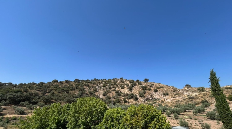Granada - Loja - 267m2
