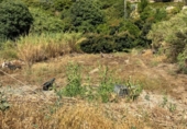 Terreno no urbanizable en venta en Guájar Faragüit ref: TR417497 foto
