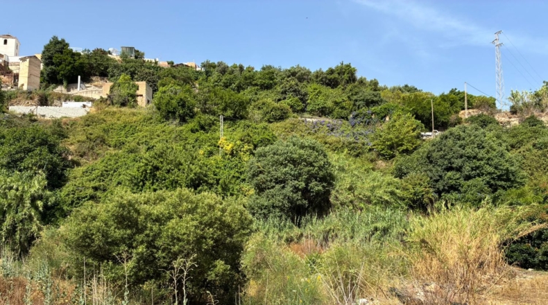 Granada - Guájar Faragüit - 781m2
