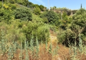 Terreno no urbanizable en venta en Guájar Faragüit ref: TR417497 foto