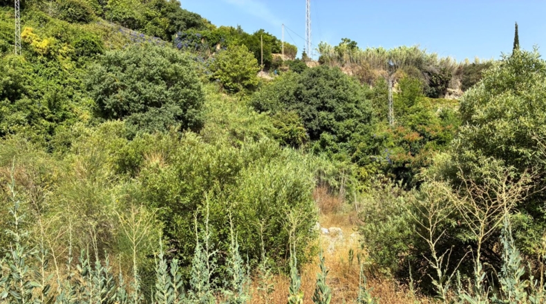 Granada - Guájar Faragüit - 781m2