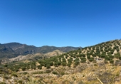 Detached villa with land for sale in Guájar Alto ref: TR417498 photo