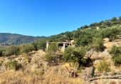 Detached villa with land for sale in Guájar Alto ref: TR417498 photo