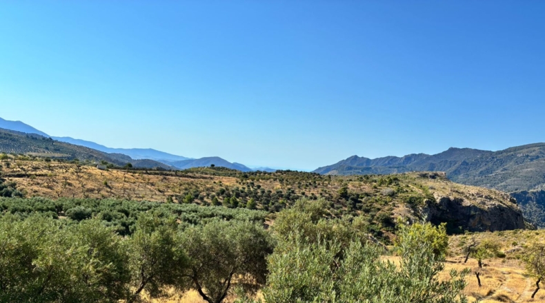 Granada - Guájar Faragüit - 54000m2