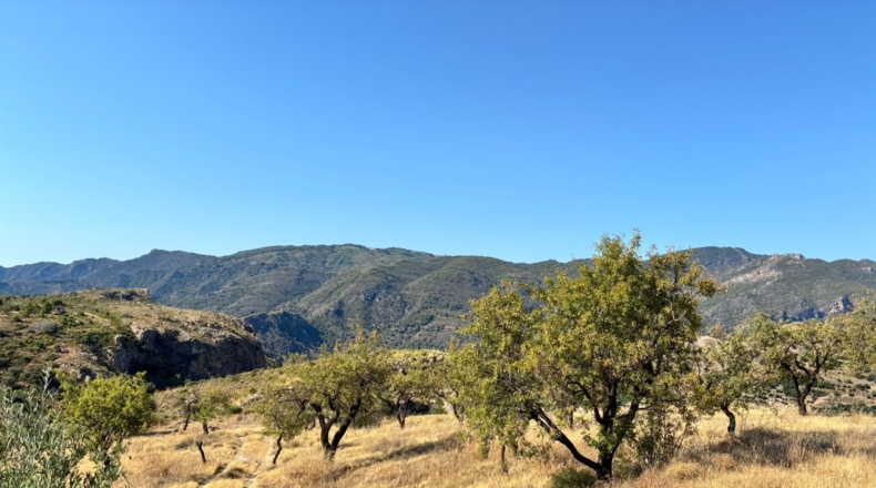 Granada - Guájar Faragüit - 54000m2