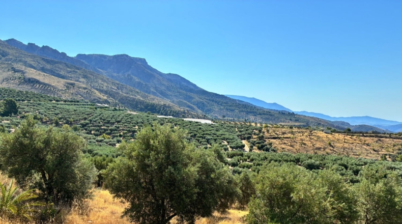 Granada - Guájar Faragüit - 54000m2