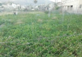 Parcela urbanizable en venta en la España, Abarán, ref: TR417507 foto