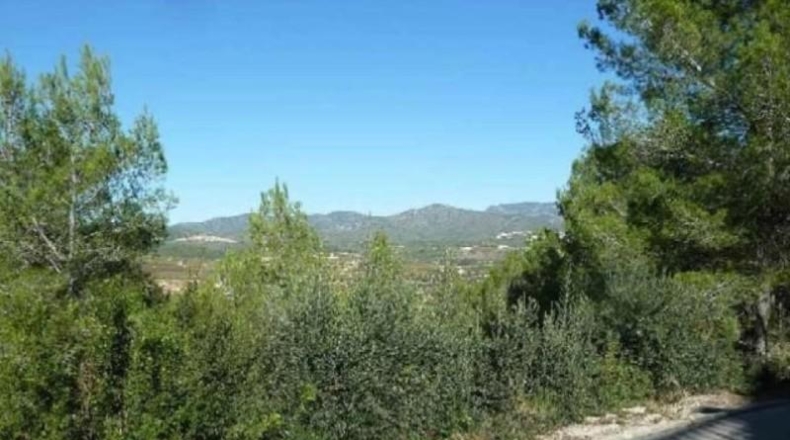 Tarragona - la Bisbal del Penedès - 499m2
