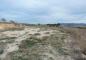 Parcela urbanizable en venta en la España, Alfarrasí, ref: TR337375 foto