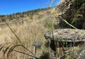 Non-developable land for sale on España, Villa de Arico, ref: TR417516 photo