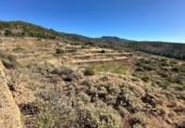 Non-developable land for sale on España, Villa de Arico, ref: TR417516 photo