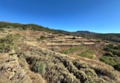 Non-developable land for sale on España, Villa de Arico, ref: TR417516 photo