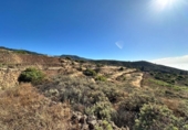 Non-developable land for sale on España, Villa de Arico, ref: TR417516 photo