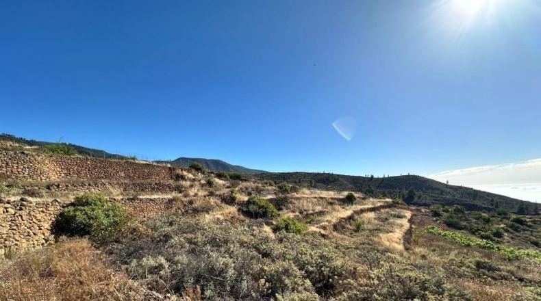 Santa Cruz de Tenerife - Villa de Arico - 3110m2