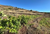 Non-developable land for sale on España, Villa de Arico, ref: TR417516 photo