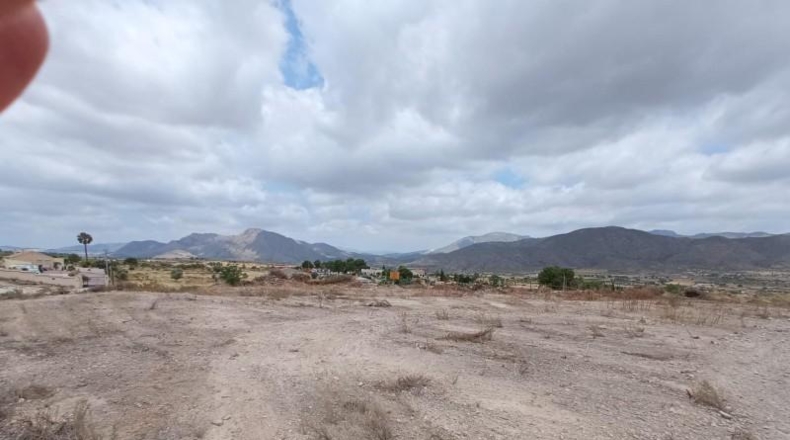 Alicante - Hondón de los Frailes - 17272m2