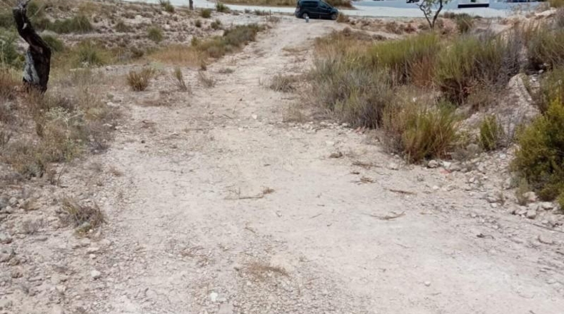 Alicante - Hondón de los Frailes - 17272m2