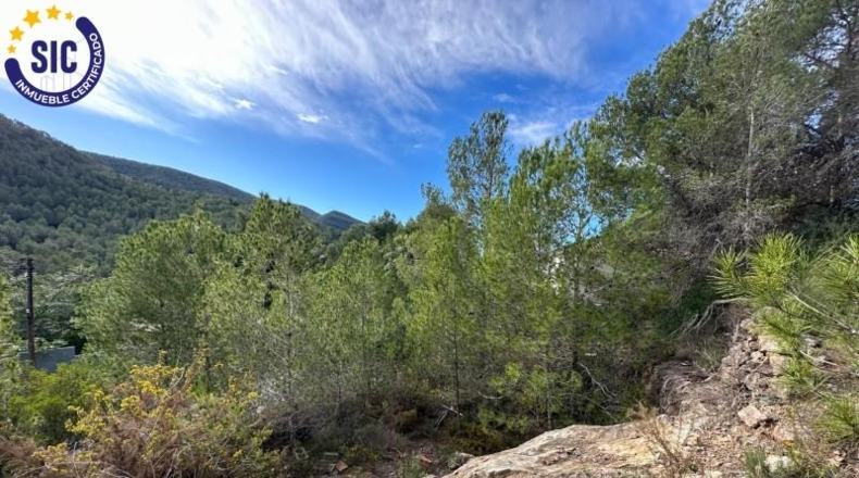 Valencia - Gilet - 608m2