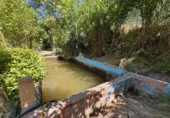Terreno no urbanizable en venta en la España, Jorba, ref: TR417529 foto