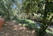 Terreno no urbanizable en venta en la España, Jorba, ref: TR417529 foto