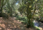 Terreno no urbanizable en venta en la España, Jorba, ref: TR417529 foto