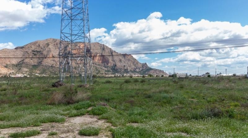 Alicante - Orihuela - 13950m2