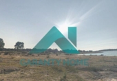 Casa de campo con terreno en venta en la España, Torreorgaz, ref: TR417534 foto