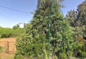 Terreno no urbanizable en venta en la España, La Esperanza, ref: TR417536 foto