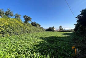 La Esperanza 971&nbsp;m²