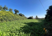 Terreno no urbanizable en venta en la España, La Esperanza, ref: TR417536 foto