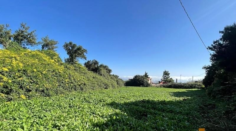 Santa Cruz de Tenerife - La Esperanza - 971m2