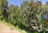 Terreno no urbanizable en venta en la España, La Esperanza, ref: TR417536 foto