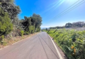 Terreno no urbanizable en venta en la España, La Esperanza, ref: TR417536 foto