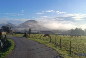 Escalante 14630&nbsp;m²