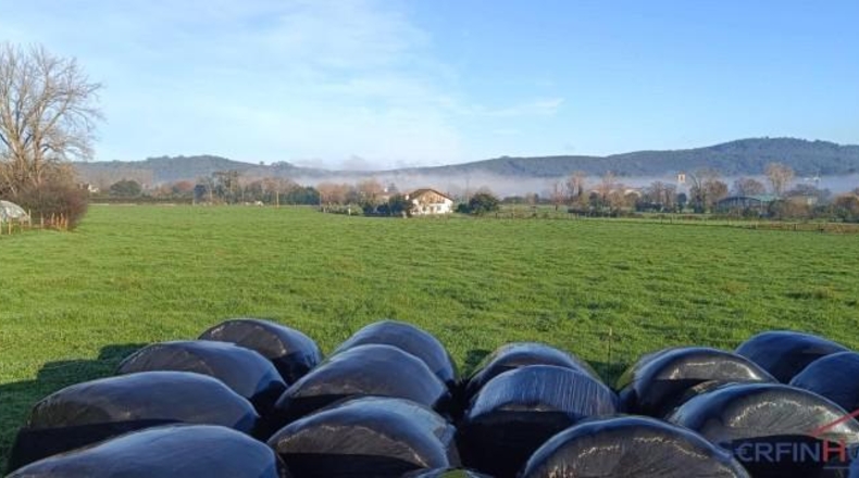 Cantabria - Escalante - 14630m2