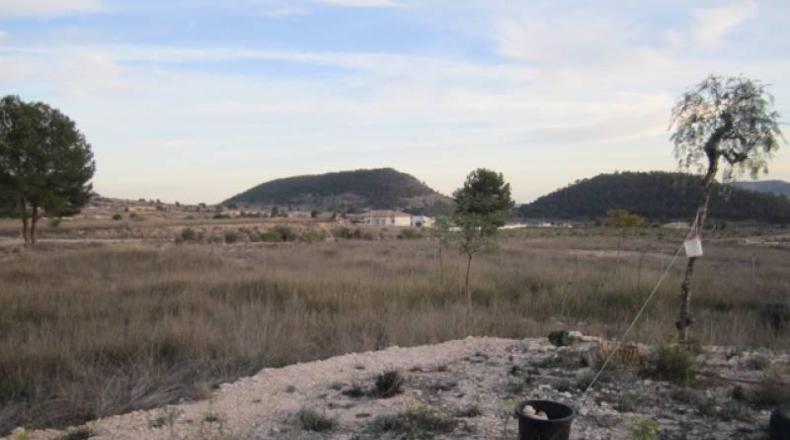 Alicante - la Romana - 13000m2