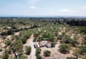 Detached villa with land for sale on España, l'Ampolla, ref: TR417547 photo