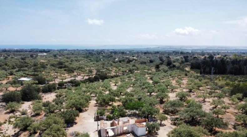 Tarragona - l'Ampolla - 35000m2