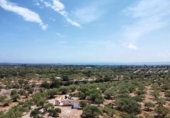 Detached villa with land for sale on España, l'Ampolla, ref: TR417547 photo