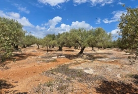 l'Ampolla 35000&nbsp;m²