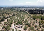 Detached villa with land for sale on España, l'Ampolla, ref: TR417547 photo