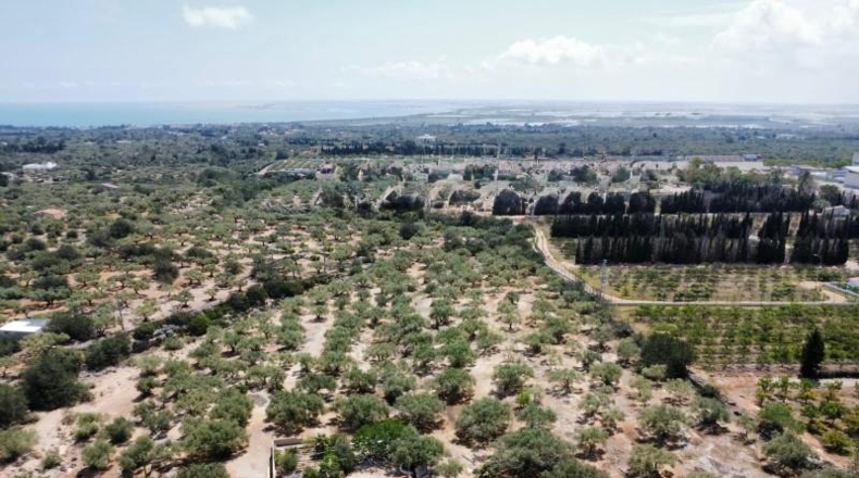 Tarragona - l'Ampolla - 35000m2
