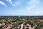 Detached villa with land for sale on España, l'Ampolla, ref: TR417547 photo