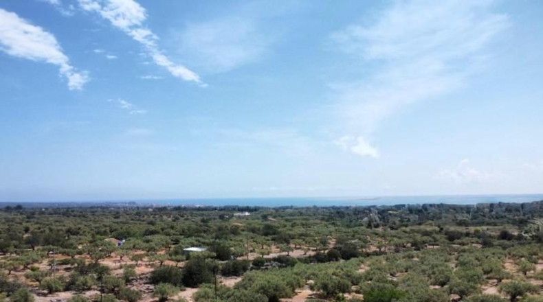 Tarragona - l'Ampolla - 35000m2