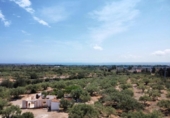 Detached villa with land for sale on España, l'Ampolla, ref: TR417547 photo