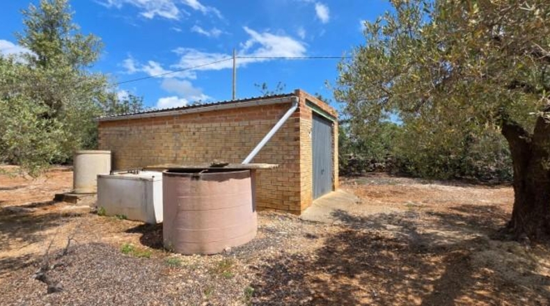 Tarragona - l'Ampolla - 35000m2