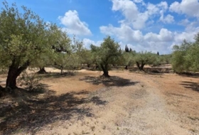l'Ampolla 35000&nbsp;m²